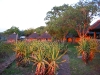 Africa 1 054